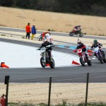 Scorpion Masters 2013 - SM 16