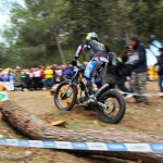 Scorpion Masters 2013 - trial 02