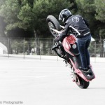 Stunt Scorpion Masters 05