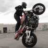 Stunt Scorpion Masters 07