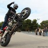 Stunt Scorpion Masters 08