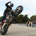 Stunt Scorpion Masters 08