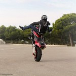 Stunt Scorpion Masters 10
