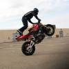 Stunt Scorpion Masters 11